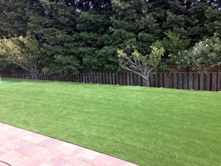 Artificial Grass Ansonville North Carolina Landscape Back