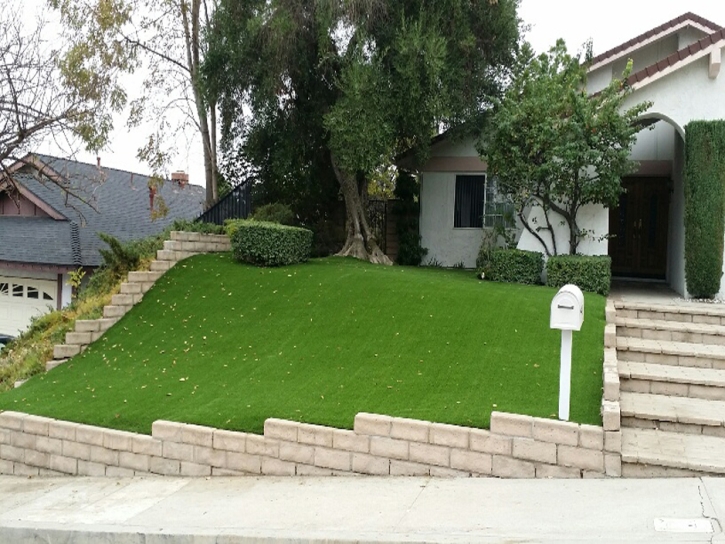 Artificial Grass Blacksburg South Carolina Landscape Front