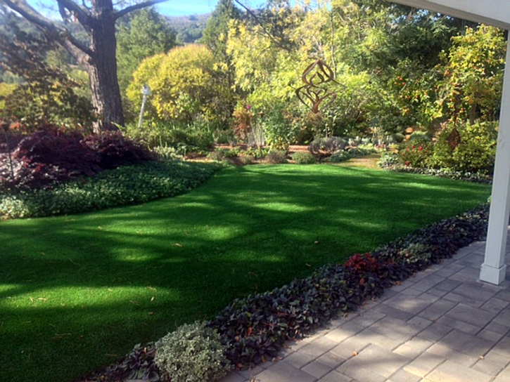 Artificial Grass Casar North Carolina Landscape Back Yard