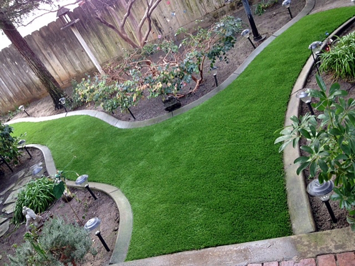 Artificial Grass Cedar Rock North Carolina Lawn Back Yard