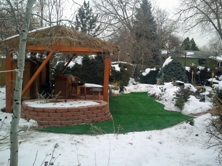 Artificial Grass Cherryville North Carolina Landscape Back