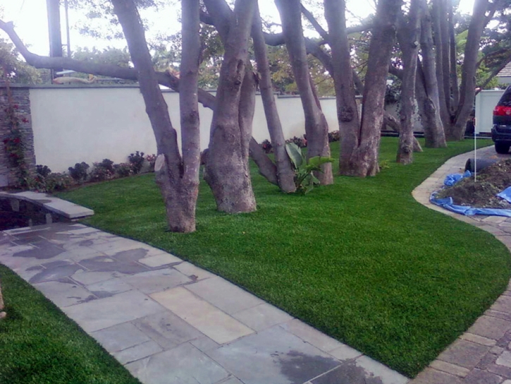 Artificial Grass Claremont North Carolina Landscape Front