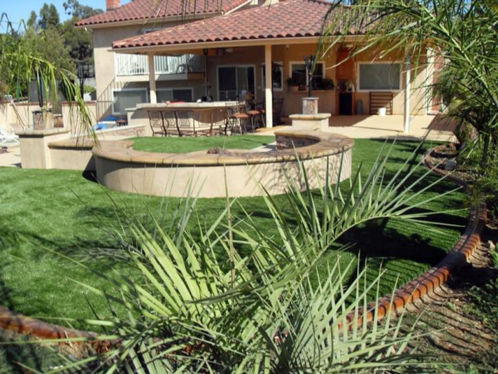 Artificial Grass Converse South Carolina Lawn Back Yard