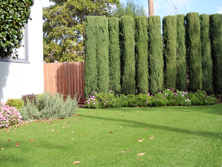 Artificial Grass Cowpens South Carolina Landscape Front