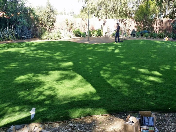 Artificial Grass Earl North Carolina Landscape Back Yard