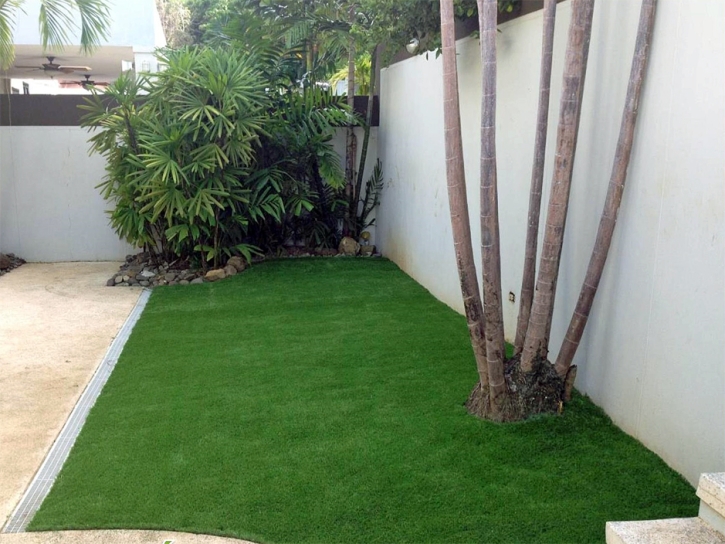 Artificial Grass East Spencer North Carolina Lawn Back Yard