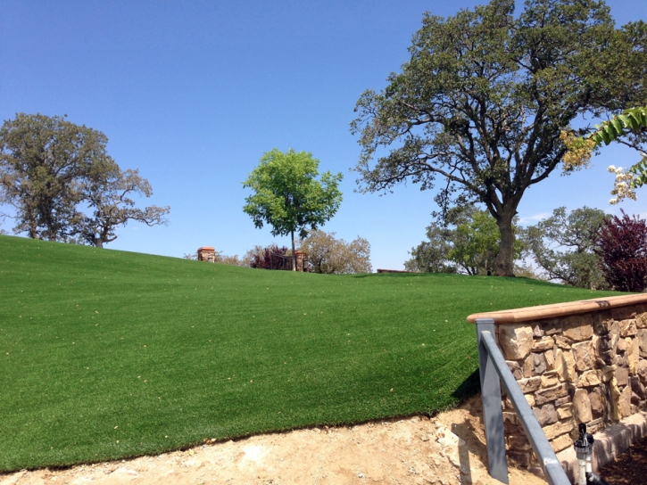 Artificial Grass Enochville North Carolina Lawn Front Yard