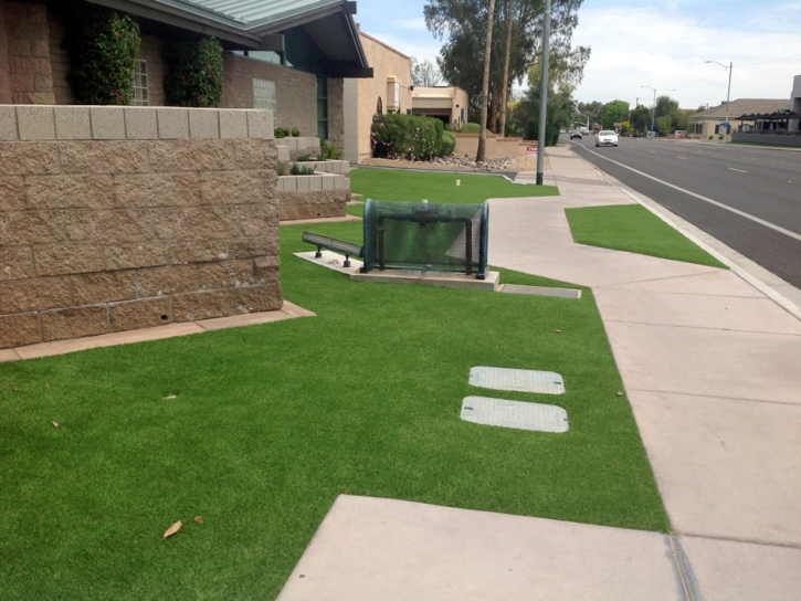 Artificial Grass Gayle Mill South Carolina Lawn Front Yard