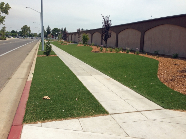 Artificial Grass High Shoals North Carolina Landscape Commercial