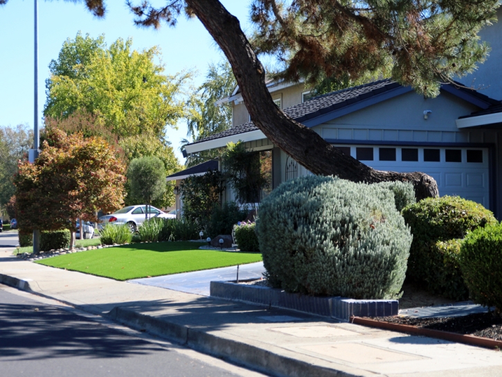 Artificial Grass Installation in Hemet, California