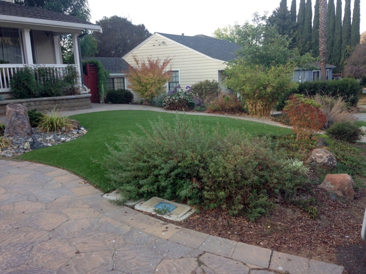 Artificial Grass Mount Croghan South Carolina Landscape