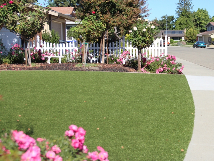 Artificial Grass Norwood North Carolina Landscape Front