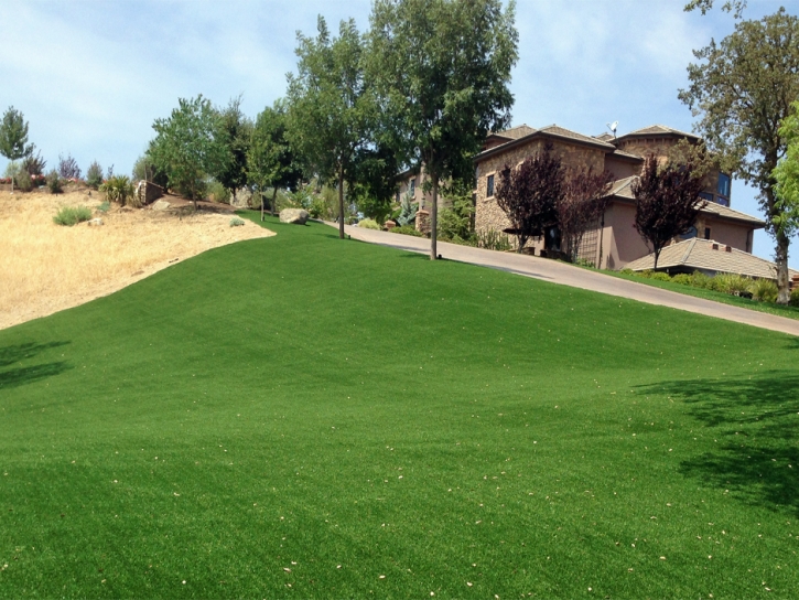 Artificial Grass Rock Hill South Carolina Lawn Front Yard