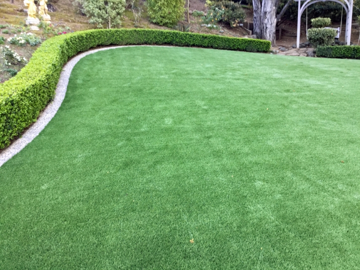 Artificial Grass Spindale North Carolina Lawn