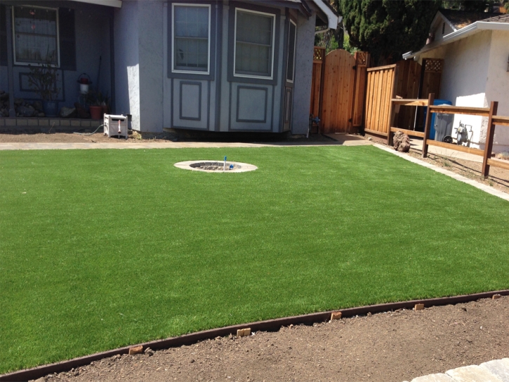 Artificial Grass Winnsboro Mills South Carolina Lawn Back