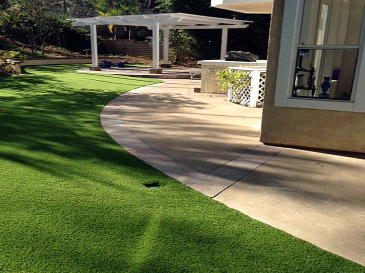 Artificial Pet Grass Iron Station North Carolina Installation