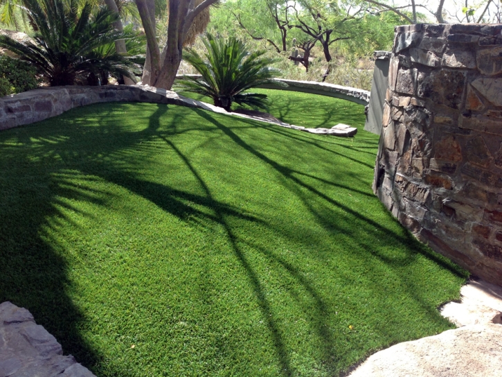 Artificial Pet Turf Saint Stephens North Carolina Installation