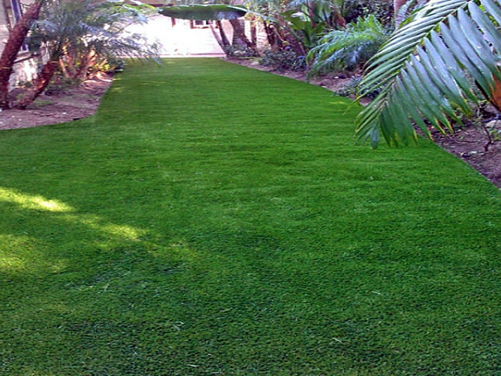 Artificial Turf Advance North Carolina Landscape Back Yard