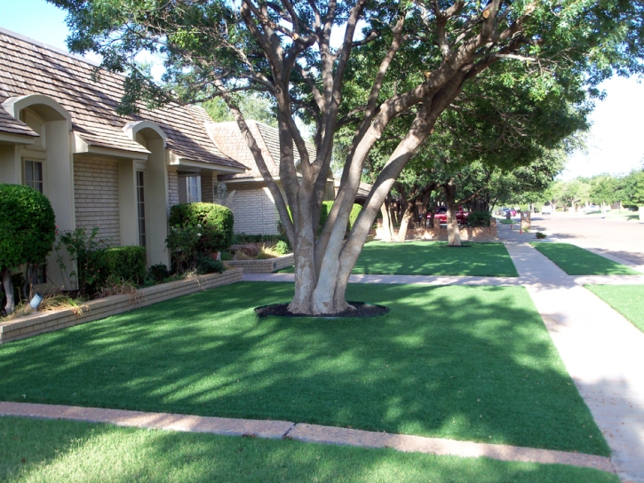 Artificial Turf Catawba South Carolina Landscape Front