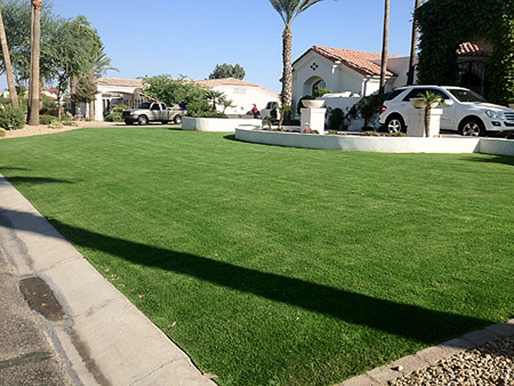 Artificial Turf Central Pacolet South Carolina Landscape