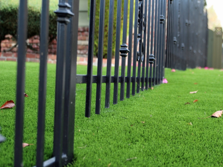 Artificial Turf Chesnee South Carolina Lawn Front Yard