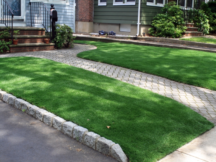 Artificial Turf China Grove North Carolina Lawn Front Yard