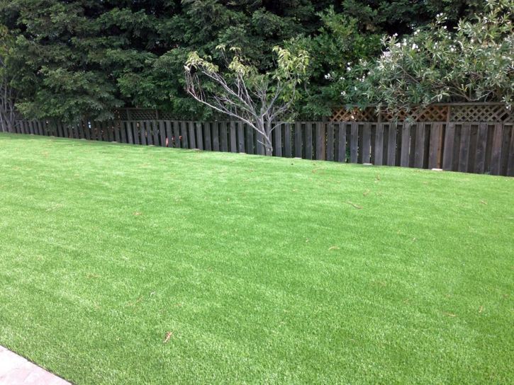 Artificial Turf Cooleemee North Carolina Landscape Back