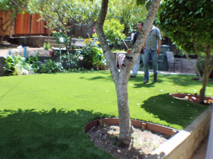 Artificial Turf Cordova North Carolina Lawn