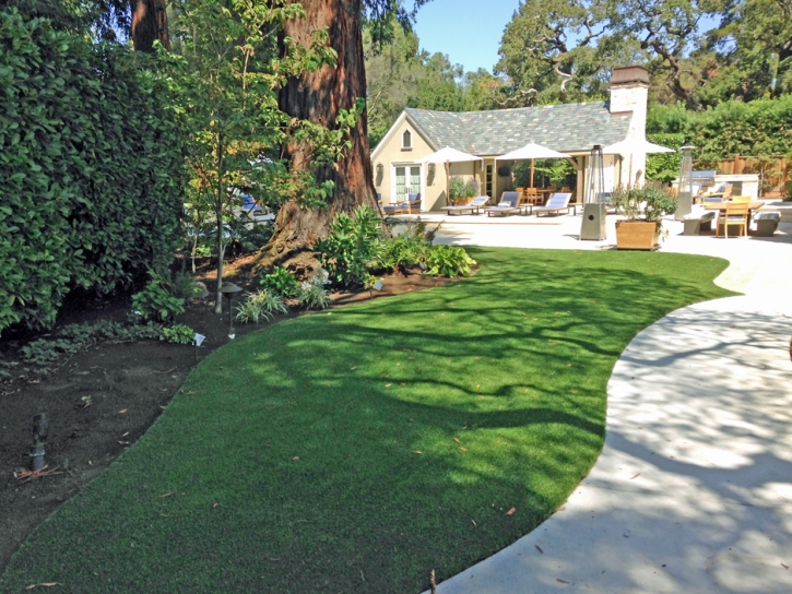 Artificial Turf Denver North Carolina Lawn Commercial Landscape