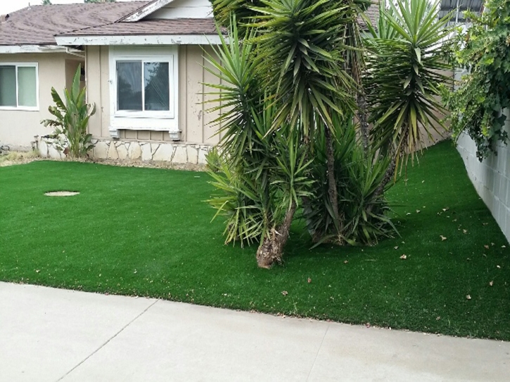 Artificial Turf Earl North Carolina Lawn Front Yard