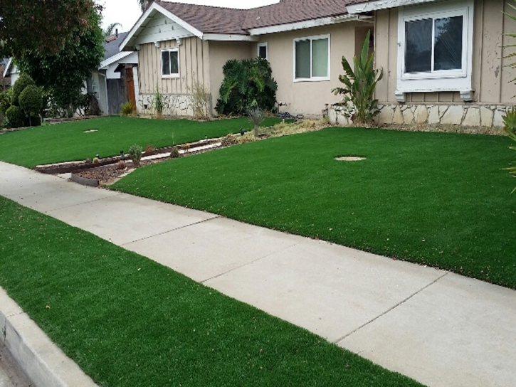 Artificial Turf East Spencer North Carolina Lawn Front Yard