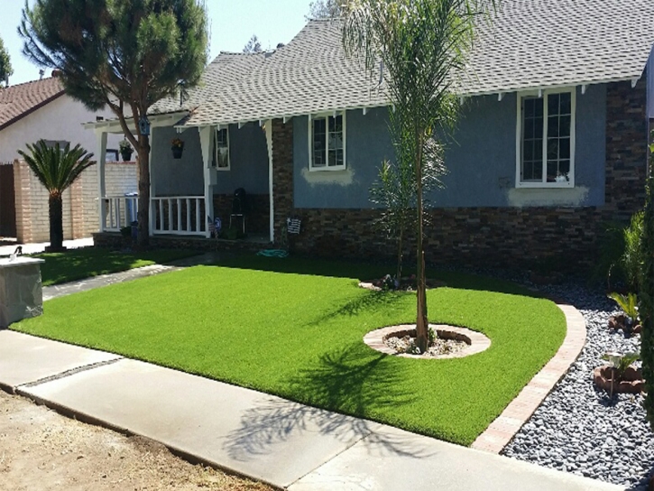 Artificial Turf Elgin South Carolina Lawn Front Yard