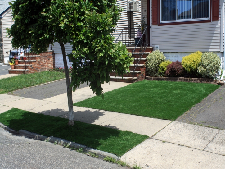 Artificial Turf Faith North Carolina Landscape Front Yard