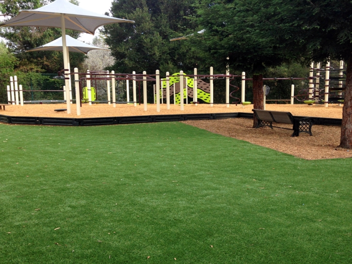 Artificial Turf Fort Lawn South Carolina School Back Yard