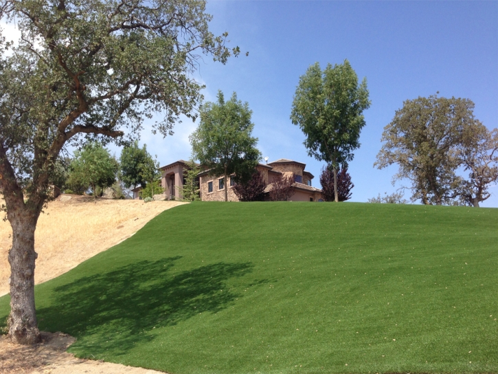 Artificial Turf Iron Station North Carolina Lawn Front Yard