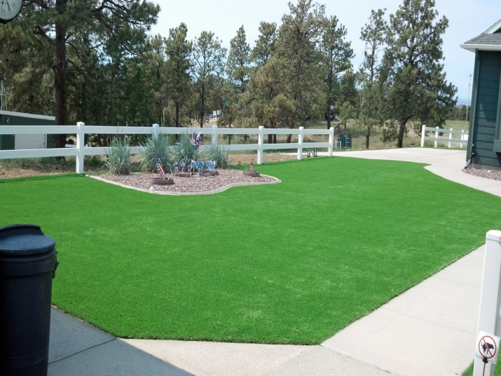 Artificial Turf Lake Park North Carolina Lawn Front Yard