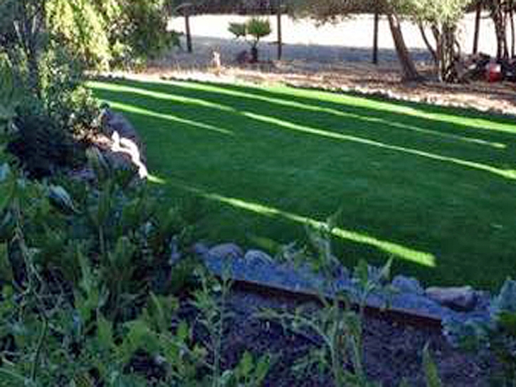 Artificial Turf Lancaster Mill South Carolina Landscape