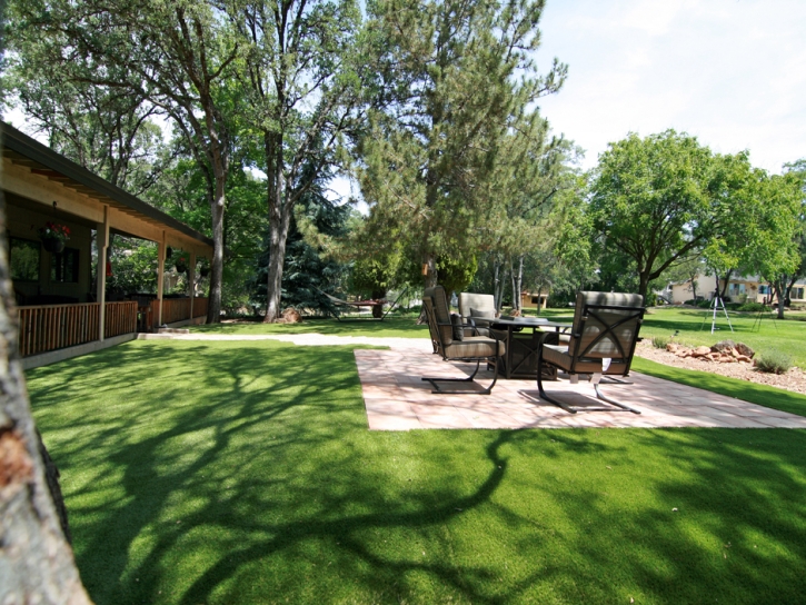 Artificial Turf Lowesville North Carolina Lawn Back Yard