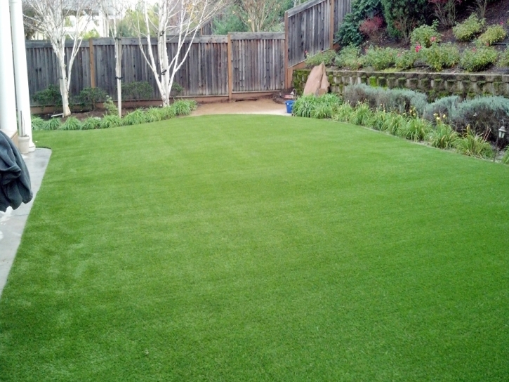 Artificial Turf Maiden North Carolina Landscape Back Yard