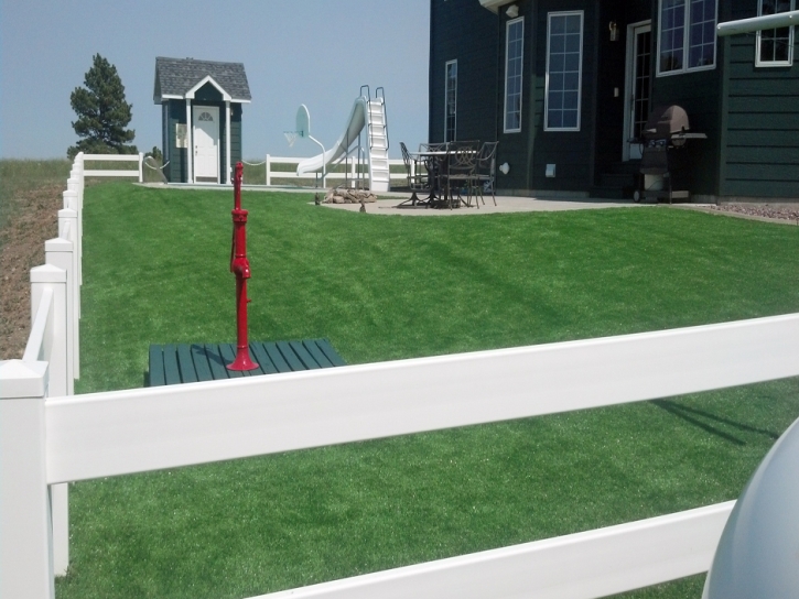 Artificial Turf McConnells South Carolina Lawn Front Yard