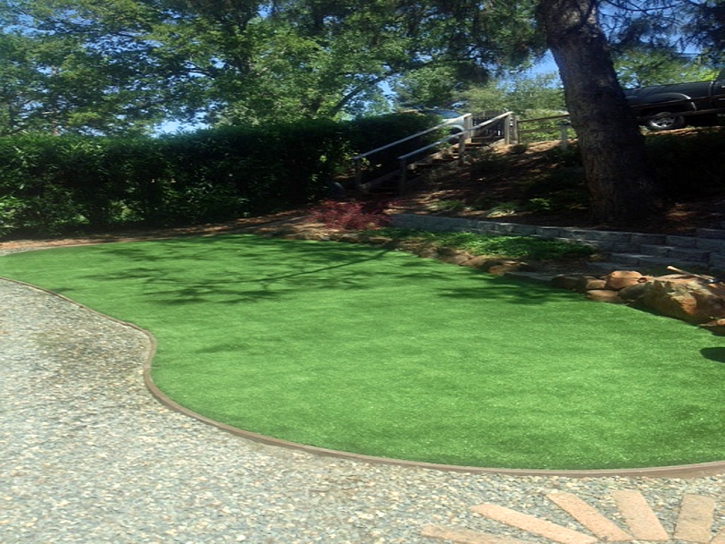 Artificial Turf Mooresboro North Carolina Lawn Back Yard