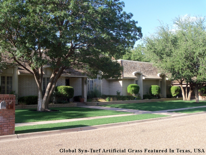 Artificial Turf Mount Holly North Carolina Landscape Front