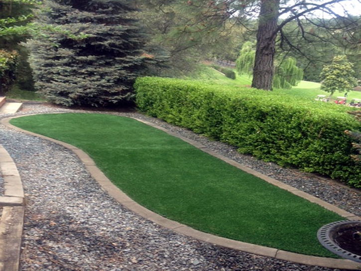 Artificial Turf Northlakes North Carolina Landscape