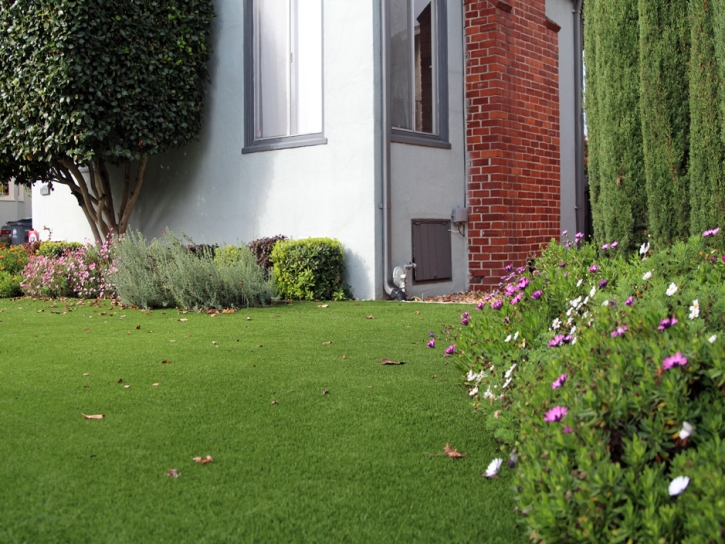 Artificial Turf Pacolet Mills South Carolina Lawn Front