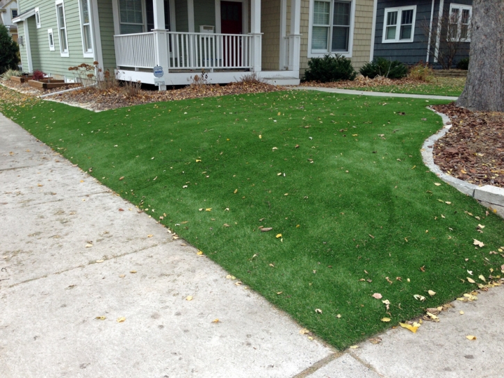 Artificial Turf Saint Stephens North Carolina Lawn Front