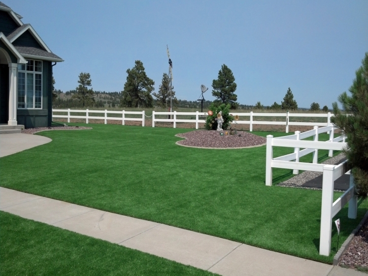 Artificial Turf Sharon South Carolina Landscape Back Yard