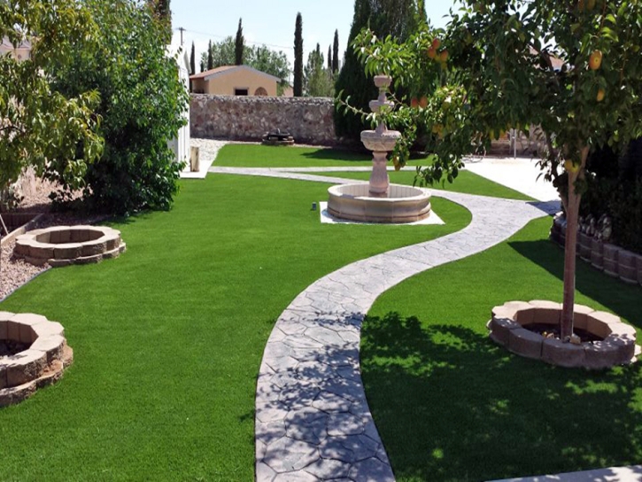 Artificial Turf Sharon South Carolina Lawn Back Yard