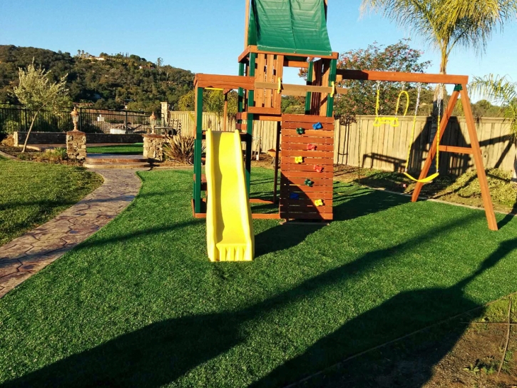 Artificial Turf Stallings North Carolina School Back Yard