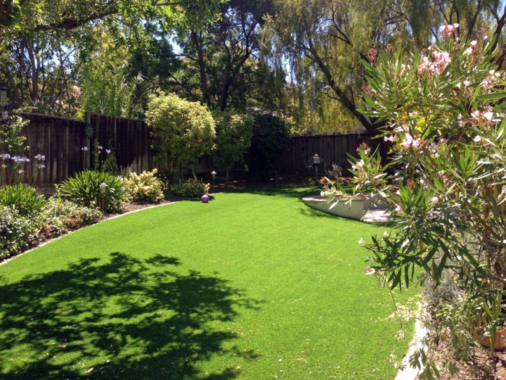 Artificial Turf Tega Cay South Carolina Lawn Back Yard