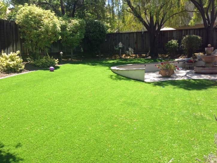 Artificial Turf Wesley Chapel North Carolina Lawn Back Yard